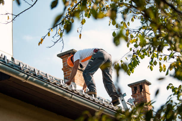 Best Gutter Installation and Roofing  in Sleepy Hollow, IL