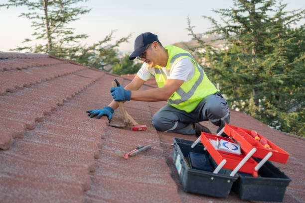 Best Commercial Roofing Services  in Sleepy Hollow, IL
